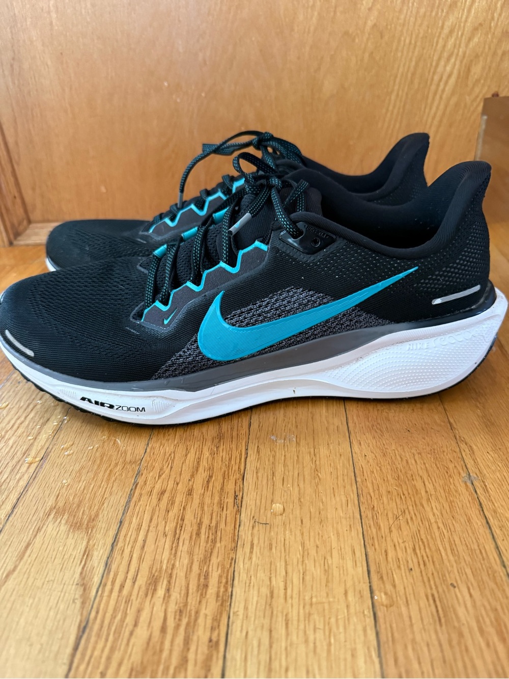 Men’s Nike Pegasus Sneaker